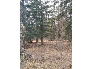 36616 Virginia Drive, Kenai, AK 99611 