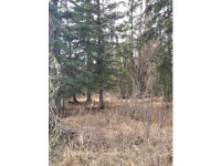 36616 Virginia Drive, Kenai, AK 99611 