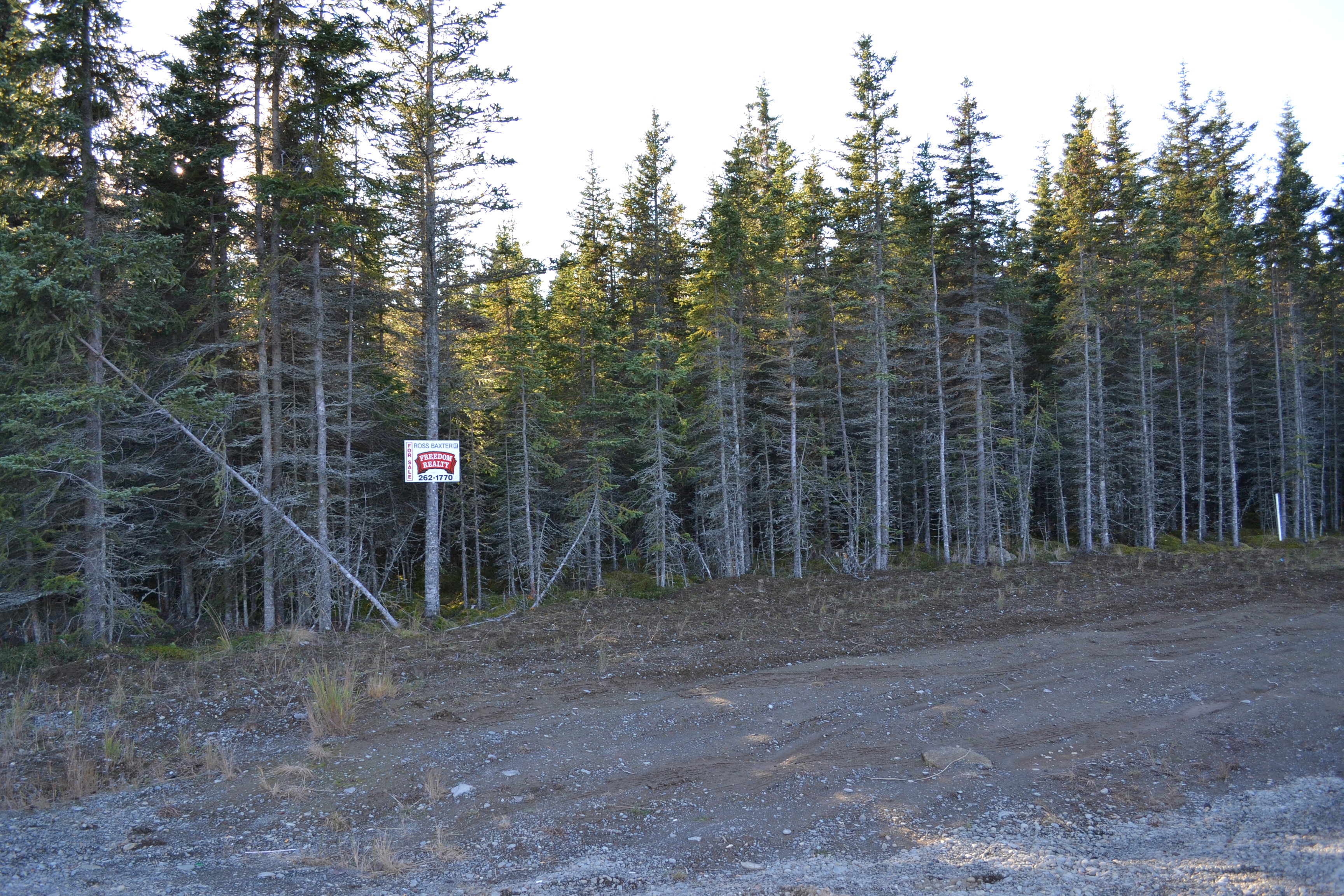 LI13 Salty Circle, Kenai, AK 99611 