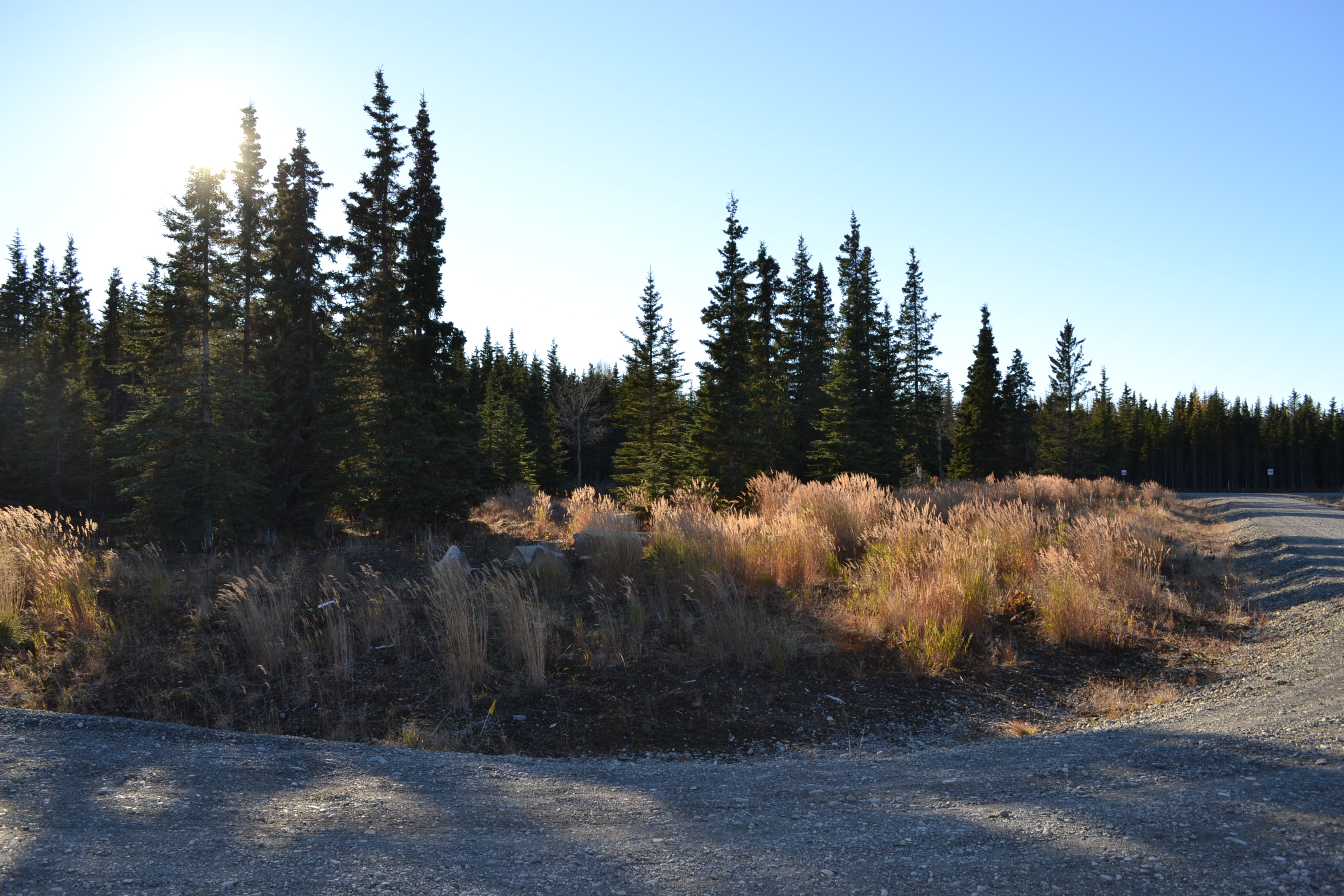 L15 Salty Circle, Kenai, AK 99611 