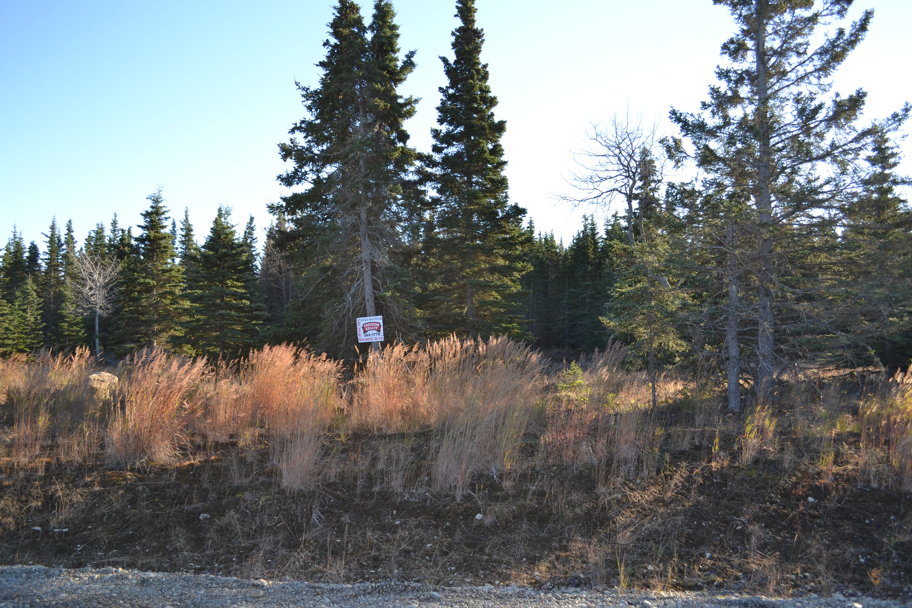 L14 Salty Circle, Kenai, AK 99611 