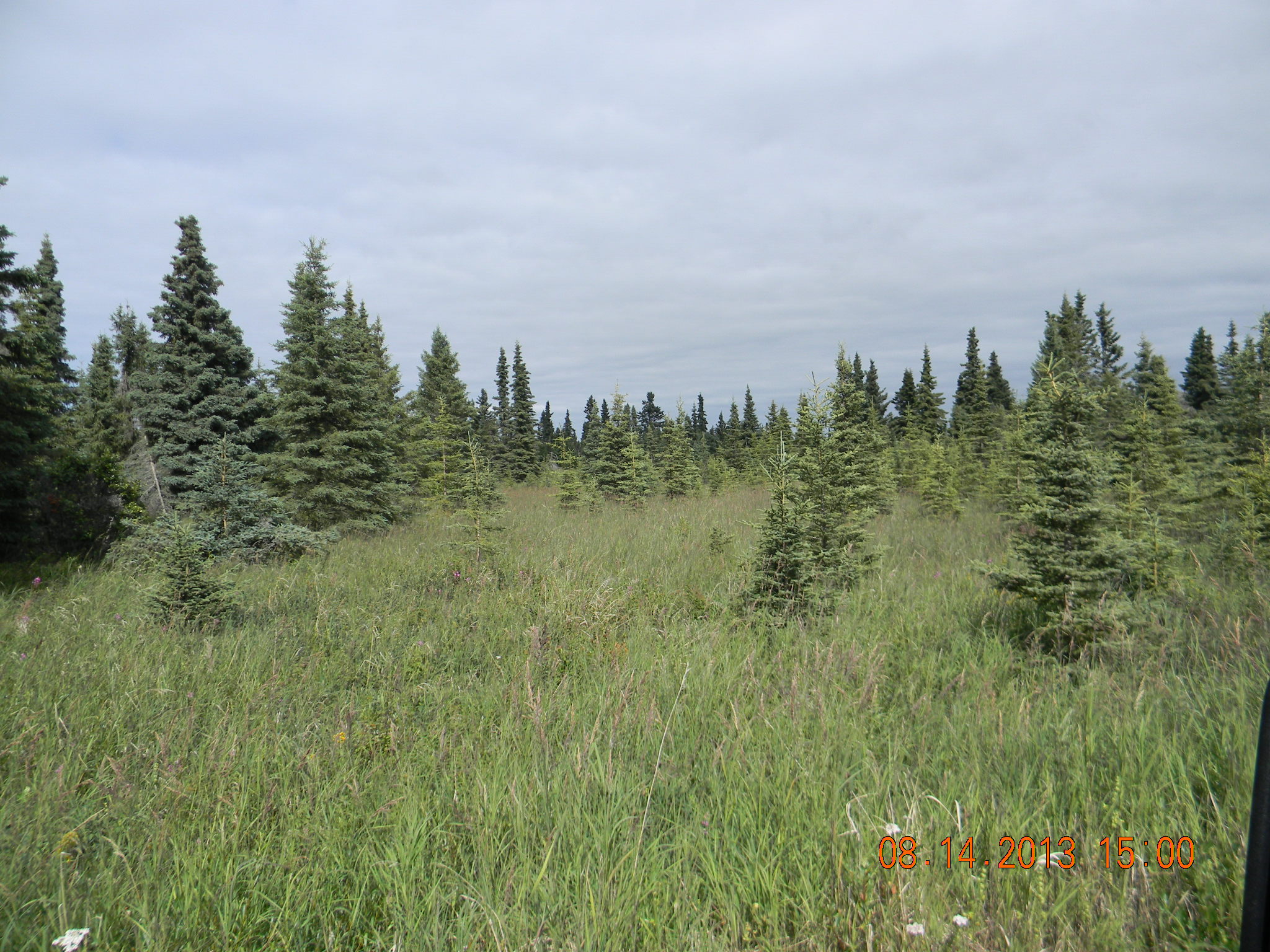 Tr 3 Tiller Avenue, Kenai, AK 99611 