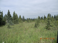 Tr 3 Tiller Avenue, Kenai, AK 99611 