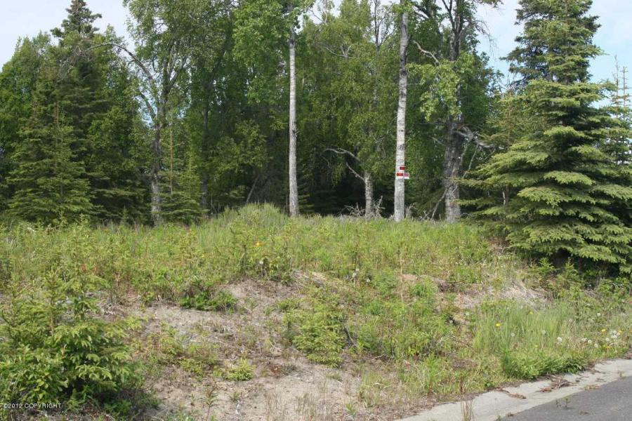 1530 Meander Lane, Kenai, AK 99611 