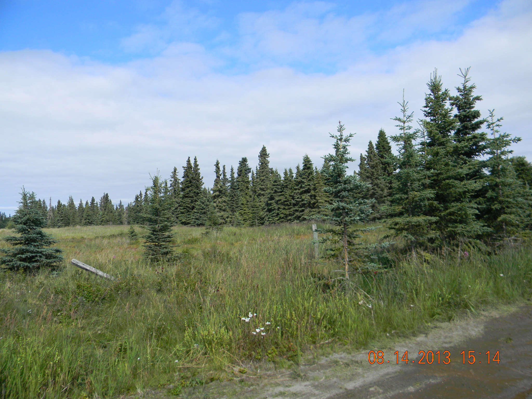 35100 Driftnetter Street, Kenai, AK 99611 