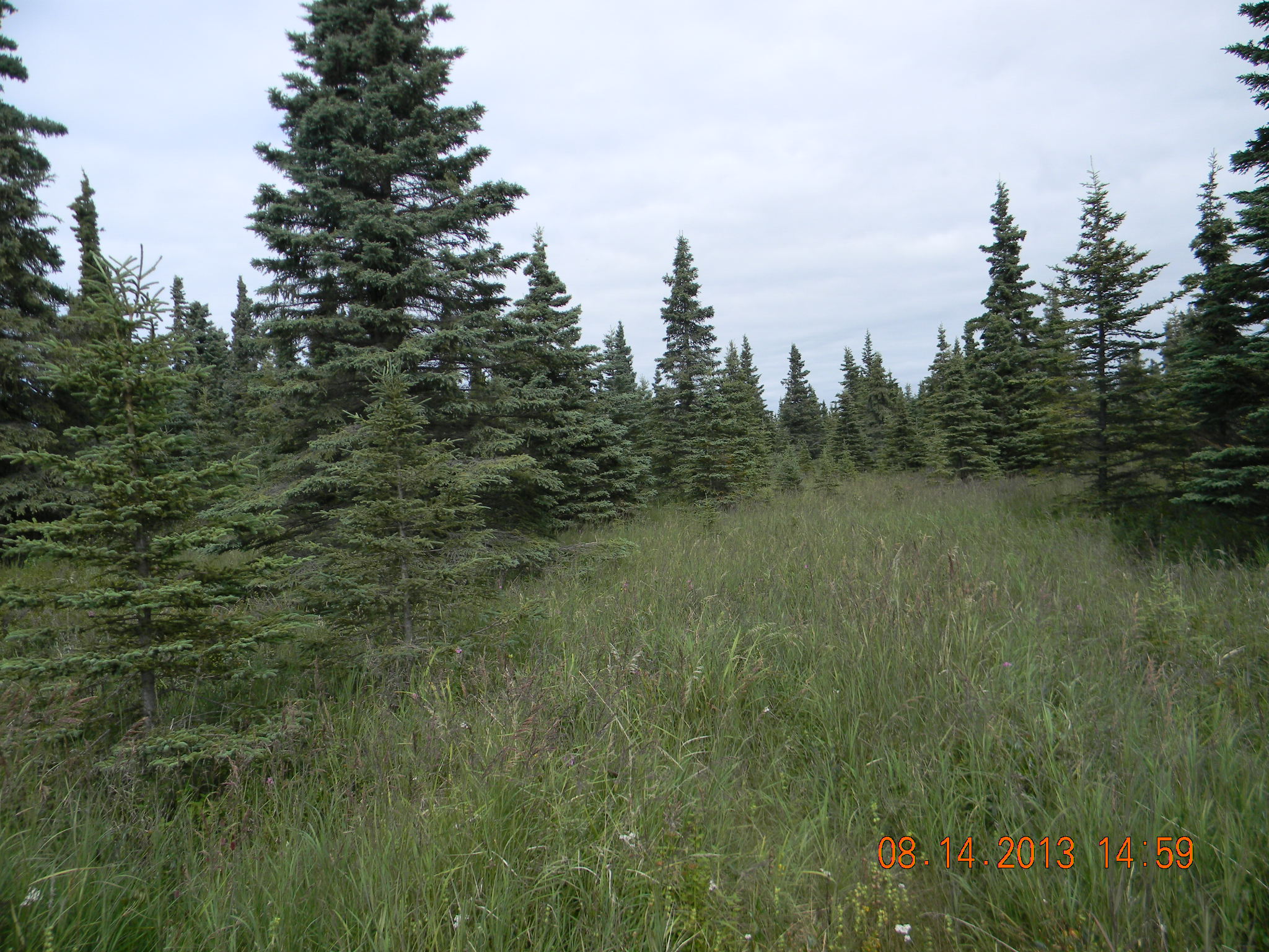 L8 Westway Road, Kenai, AK 99611 