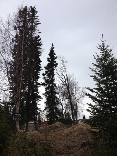 1711 Fourth Avenue, Kenai, AK 99611 