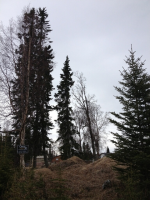 1711 Fourth Avenue, Kenai, AK 99611 