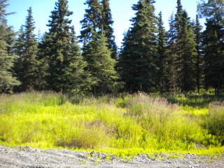L15 Scenic Breezes Court, Kasilof, AK 99621 