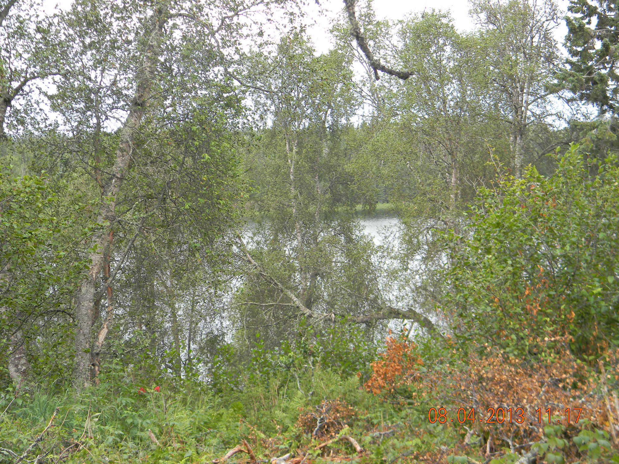 000 Teal Avenue, Nikiski, AK 99635 