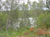 000 Teal Avenue, Nikiski, AK 99635 