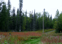 L3 B4 Alexander Road, Nikiski, AK 99635 