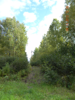 52852 Bruner Circle, Nikiski, AK 99635 