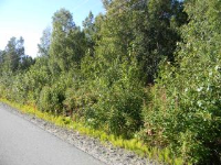 Mi 27.5 Kenai Spur Highway, Nikiski, AK 99635 