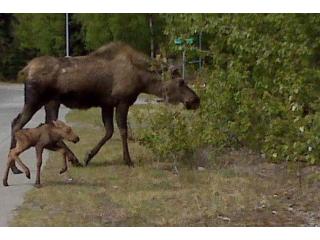 L10 Porter Drive, Nikiski, AK 99635 