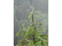 L8 Porter Drive, Nikiski, AK 99635 