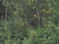 L3 Meimi Avenue, Nikiski, AK 99635 