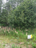 Lot 5 Gary Court, Nikiski, AK 99635 