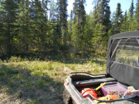 L151 Cloud Berry Loop, Nikiski, AK 99635 