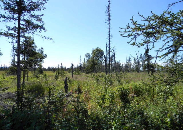 Gl 1 Tall Tree Avenue, Anchor Point, AK 99556 