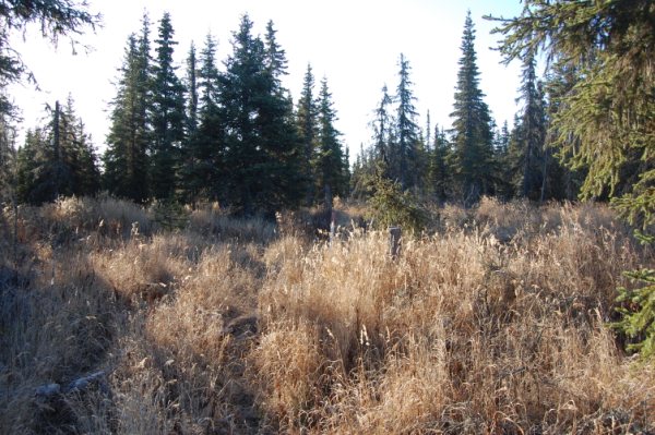 69509 Sonnichson Ave, Anchor Point, AK 99556 