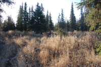 69509 Sonnichson Ave, Anchor Point, AK 99556 