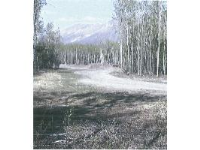 Mi 27 McCarthy Highway LT4 B1, Chitina, AK 99566 