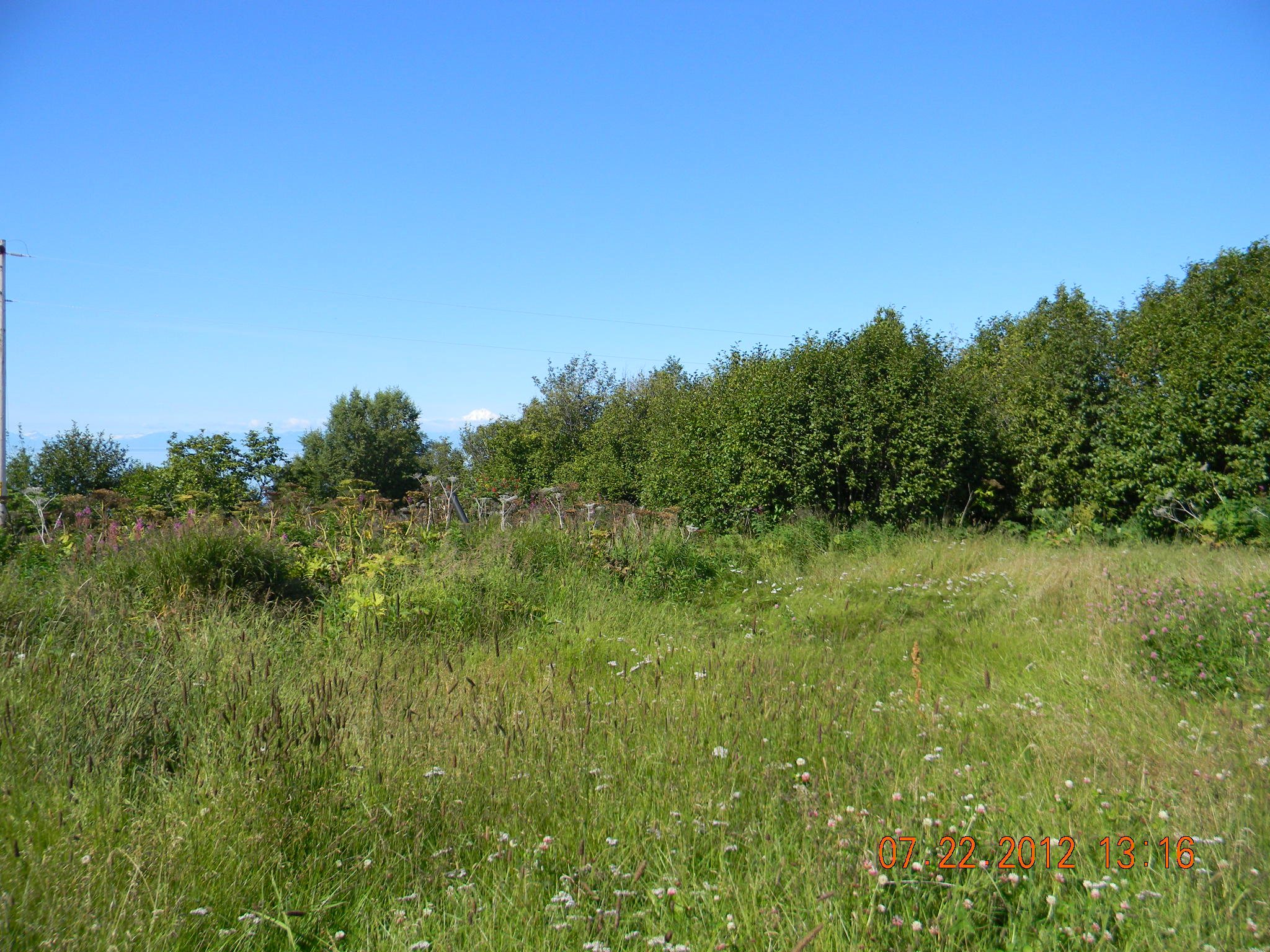 16895 Dilligara Lane, Clam Gulch, AK 99568 