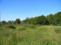 16895 Dilligara Lane, Clam Gulch, AK 99568 