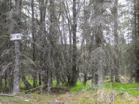18360 Loveall Loop, Clam Gulch, AK 99568 