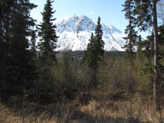 L32 Langille Road, Cooper Landing, AK 99572 