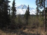 L32 Langille Road, Cooper Landing, AK 99572 