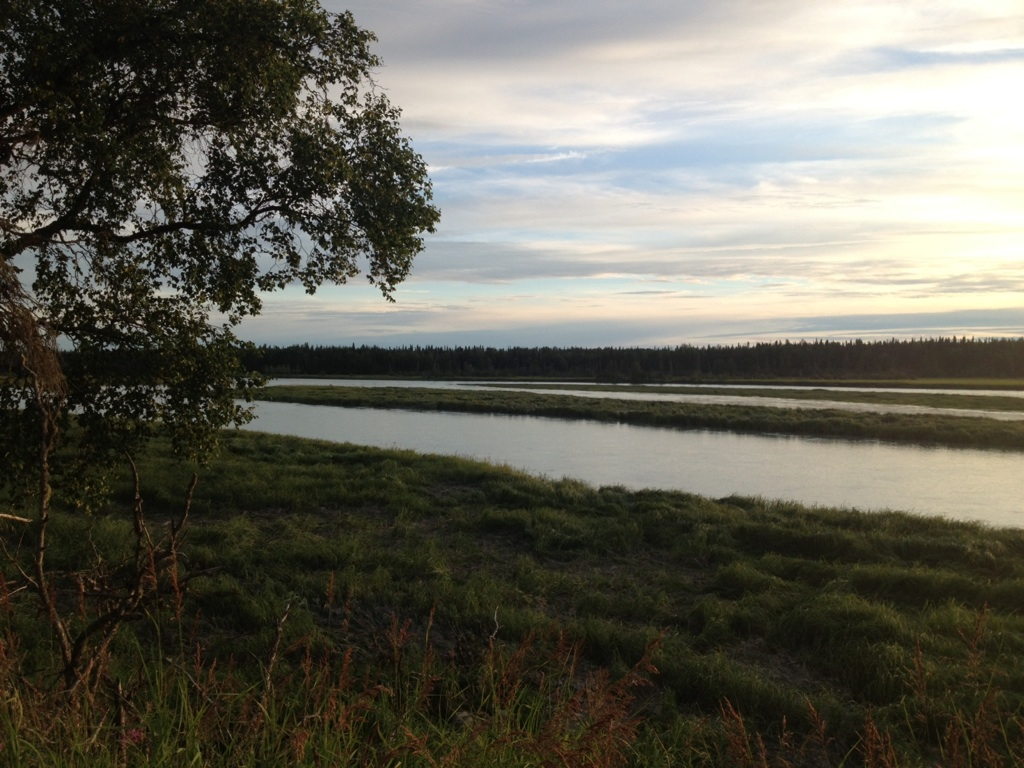 L33 Red Fox Lane, Kasilof, AK 99610 