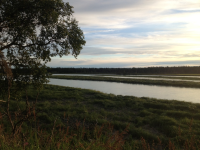 Lot 8 Red Fox Lane, Kasilof, AK 99610 