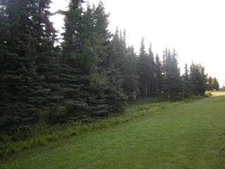 129 Bridge Access Road &amp; 97, Kenai, AK 99611 