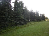 129 Bridge Access Road &amp; 97, Kenai, AK 99611 