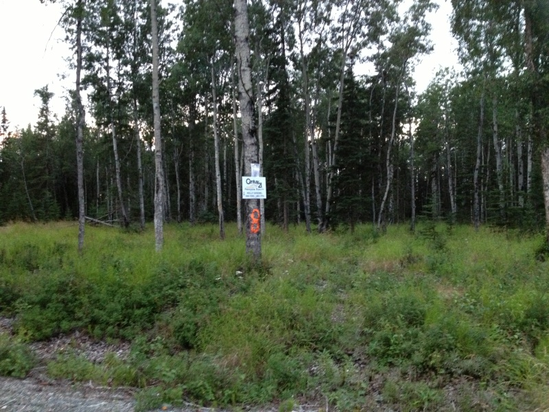 24998 Red Fox Lane, Kasilof, AK 99610 