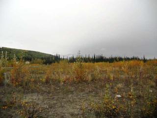 1342/1344 Joyce Drive, Fairbanks, AK 99701 