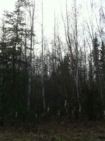 771 Congressional Drive, Fairbanks, AK 99701 