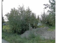 1321 W SECOND AVENUE, Fairbanks, AK 99701 