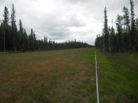 Lot 3 Timber Trail, North Pole, AK 99705 
