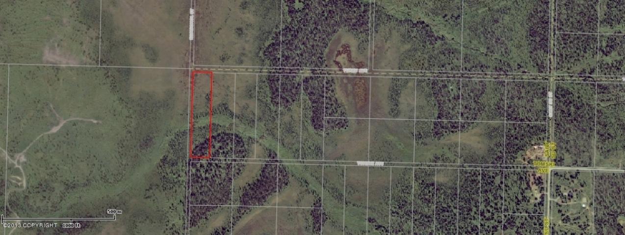 Tr 11 Tomski Avenue, Anchor Point, AK 99556 