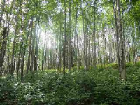 2370 Richardson, North Pole, AK 99705 