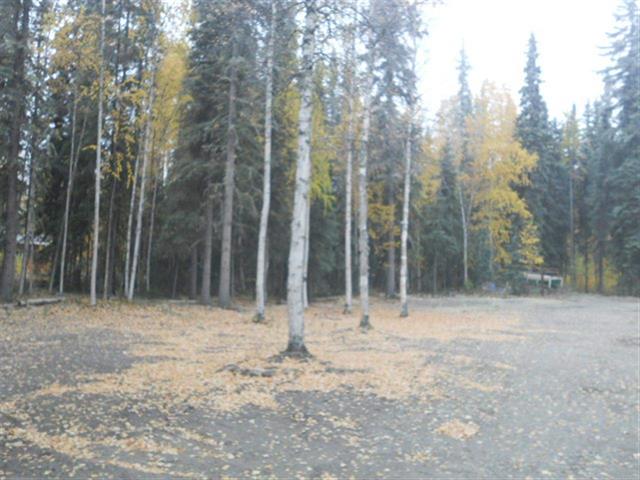 1201 Zinski Lane, North Pole, AK 99705 