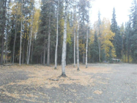 1201 Zinski Lane, North Pole, AK 99705 