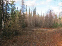 3320 Plack Rd, North Pole, AK 99705 