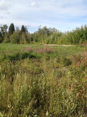 2819 Chief Alexander, Fairbanks, AK 99709 