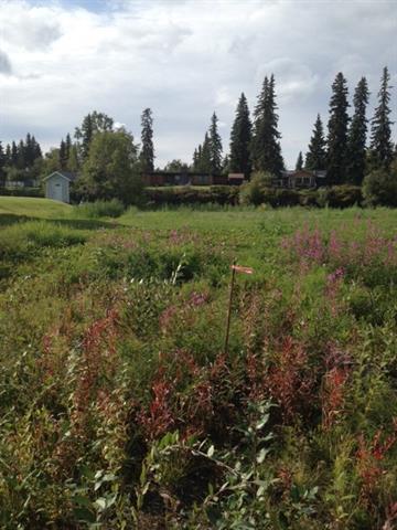 2821 Chief Alexander Drive, Fairbanks, AK 99709 