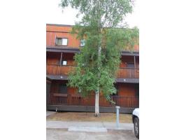 225 Woodridge St. #35, Fairbanks, AK 99709 