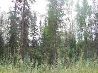 845 Canterbury Drive, Fairbanks, AK 99709 